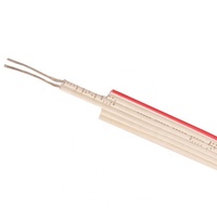 UL4478 UL758 ROHS norme environnementale chine awm ruban plat flexible FR-XLPE électricité fil de câble en cuivre