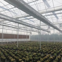 Solution clé en main de serre commerciale multi-voûtes en film pour la culture hydroponique de tomates, laitues et fraises