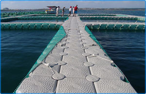 PEHD mer plastique circulaire au large lac bouée aquaculture chargeur <span class=keywords><strong>flottant</strong></span> agriculture filet <span class=keywords><strong>cage</strong></span> à poisson à vendre - Product Image 2