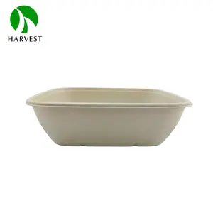 8-Inch Eco-friendly Sugarcane Paper Boxes Disposable Food Packaging Container