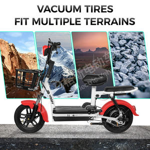 Bicicletta Elettrica per Adulti Little Prince 48V Esclusiva per il Commercio Transfrontaliero, Telaio in Acciaio ad Alto Tenore di Carbonio, Batteria al Piombo-Acido, per Pendolarismo Quotidiano - Product Image 2