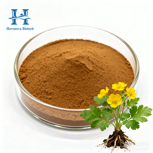 Sıkı kalite kontrol <span class=keywords><strong>Chelidonium</strong></span> <span class=keywords><strong>Majus</strong></span> Celandine ot tozu 10:1 Calandine ot <span class=keywords><strong>Chelidonium</strong></span> <span class=keywords><strong>Majus</strong></span> Celandine özü - Product Image 1