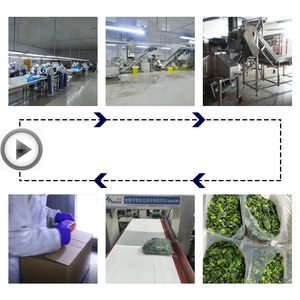 Trung Quốc Xuất Khẩu Rau Đông Lạnh Ra Thế Giới IQF Rau Bina Xắt Nhỏ Đông Lạnh Chất Lượng Hàng Đầu - Product Image 5