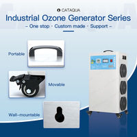 Générateur d'ozone industriel à débit réglable de 2 à 60 g/h pour l'élevage de poissons, équipement de traitement de l'eau