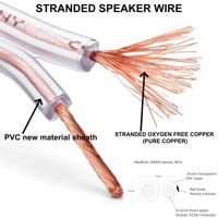 Cable de Altavoz RCA Transparente Flexible Profesional de 12/14/16 AWG, Cable de Audio de 2 Núcleos de Cobre Estañado OFC para Entretenimiento en el Hogar