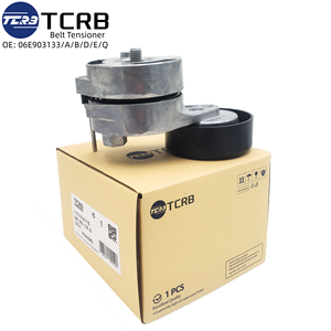 Tensor de Correa de Transmisión de Metal y Plástico Nuevo TCRB 06E903133Q/A/B/D/E para Audi con Garantía de 12 Meses - Product Image 3