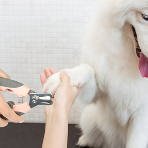 Coupe-ongles pour animaux de compagnie en plastique, tranchants et durables, très vendus à l'international – Fournitures premium pour animaux - Product Image 3