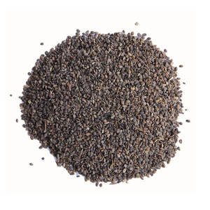 Fleurs de Phlox Vibrantes Idéales pour la Décoration de Jardins et de Pelouses, Plantes de Jardin Faciles à Cultiver - Product Image 2