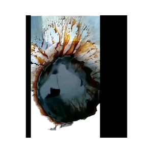 Hecho en China, el fertilizante líquido de ácido húmico es totalmente nutritivo, soluble en agua y absorbible - Product Image 3