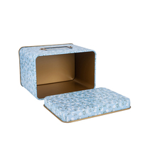 Boîte en métal vintage imprimée pour biscuits et menthe, emballage alimentaire en métal de qualité alimentaire pour thé, snus, safran, mini boîte rectangulaire avec couvercle