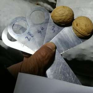 니허완 2025년산 햇 중국산 33 185 생호두 가격 껍질째 호두 도매 - Product Image 4