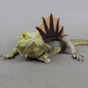Disfraz de Lagarto Camaleón, <span class=keywords><strong>Ropa</strong></span> Divertida para Mascotas Pequeñas, Accesorio de Fieltro de Dinosaurio - Product Image 3