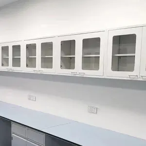Лабораторный подвесной шкаф высокого качества и Химически стойкий верхний шкаф для хранения