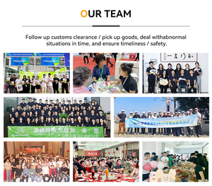 Servicio Profesional de Transporte de Carga DDP LCL + Envío Exprés con Seguro para Mercancías Peligrosas (10 Años de Experiencia) Shenzhen - Product Image 6