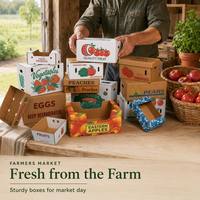 Carton de transport robuste pour fruits frais avec trous d'aération et empilage en entrepôt