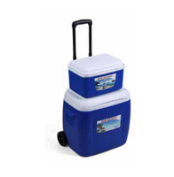 Glacière portable en plastique OEM, glacière rigide, glacière portable pour l'extérieur
