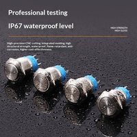 Botón Pulsador Metálico Impermeable IP67 de 16mm, 19mm, 22mm, de Latón Niquelado, con Función de Auto-reinicio/Auto-bloqueo, Botón de Arranque Industrial