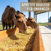 Prémélange de graisse de chameau jaune de haute qualité 100g, poudre de prise de poids rapide avec vitamines et minéraux pour stimuler l'appétit du bétail