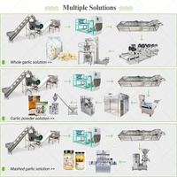 Chaîne complète entièrement automatique, ligne de produits Weifang, gousse d'ail, machine à peler, ligne de produits, usine de process