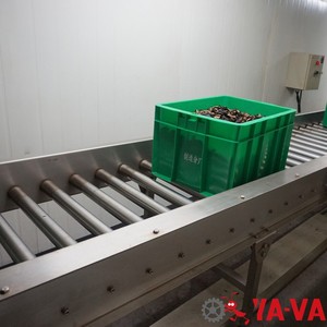 Chuỗi Điều Khiển Cơ Giới Băng Tải Con Lăn Line/Điện Băng Tải Con Lăn - Product Image 5