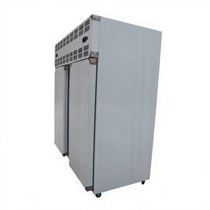 Macchina per Congelamento Rapido IQF di Carrube e Mango, Linea Industriale per Congelamento Impasti - Product Image 1
