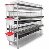 Nouvelle cage à batterie de type H à 3 niveaux pour poules pondeuses avec construction galvanisée, alimentation et abreuvement automatiques et collecte des œufs