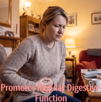 Probiotiques pour adultes OEM, santé digestive, naturels, unisexes, 90 comprimés
