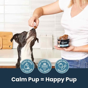 Golosinas Masticables Suaves para Perros de Marca Privada ODM/OEM, Apoyo Inmunológico, Probióticos, Salud Intestinal, Digestión, Suplementos para la Piel, Digestión Sensible y Rápida - Product Image 4