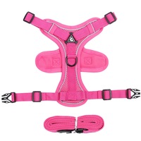 Harnais de luxe rembourré en polyester uni réglable pour animaux de compagnie, anti-évasion, design personnalisé, respirant, pour chat et chien, avec laisse
