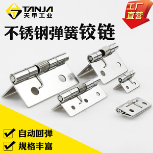 Bisagras de Resorte de Acero Inoxidable 304, Superficie Pulida, Bisagra para Muebles de Montaje en Superficie K185B, Retorno Automático, Diseño Industrial - Product Image 5