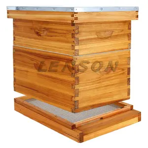 Lenson 3 camadas 10 quadros colmeias de abelha de plástico térmico para venda caixa de colmeia de abelha equipamentos de apicultura colmeia por atacado