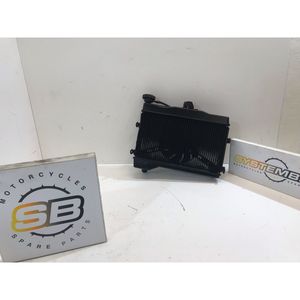 Manuale del Proprietario per Triumph Speed Triple 1050 2008-2010 - Product Image 1