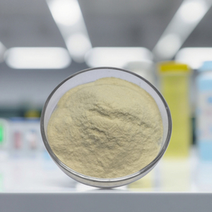 אבקת פרוביוטיקה תרמופילית ST67 בעוצמה גבוהה, חומר גלם פרימיום לתוספי תזונה - Product Image 1