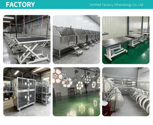 Solusi Kandang Hewan Peliharaan Modern dan Higienis, Kandang Anjing Stainless Steel dengan Roda 304, Kandang Anjing Logam Motif Hewan Modern - Product Image 6