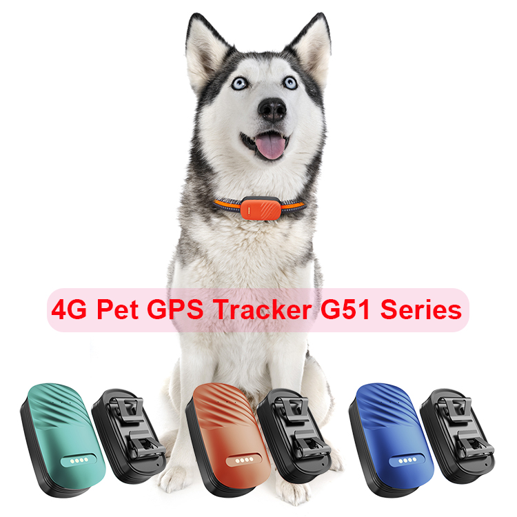 Smallest ZX908 4G LTE Mini GPS Tracker PCBA Module with SOS Call