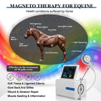 Máquina de Magnetoterapia Equina, Dispositivo Veterinario de Terapia Magnética para la Curación de Heridas, Recuperación Muscular Equina y Alivio del Dolor