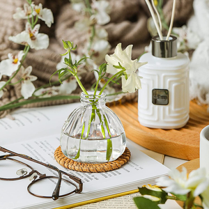 Commercio all'ingrosso popolare personalizzato chiaro nuovo stile unico <span class=keywords><strong>vaso</strong></span> <span class=keywords><strong>di</strong></span> vetro bocciolo <span class=keywords><strong>di</strong></span> <span class=keywords><strong>cristallo</strong></span> minimalista <span class=keywords><strong>vaso</strong></span> <span class=keywords><strong>di</strong></span> <span class=keywords><strong>fiori</strong></span> alla rinfusa per la casa - Product Image 5