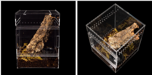 Boîte d'élevage de reptiles à boîtier transparent, cage de reptile acrylique magnétique de réservoir de terrarium d'élevage - Product Image 4