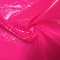 100% Nylon 20D 0.25mm Ribstop Double côtes tissu scintillant motif tissé de couleur vive pour les vestes d'hiver enduites de PU