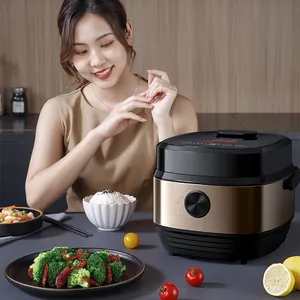 2023 New Product 5L electric rice cooker Portable multi purpose smart rice cooker