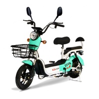Bicicleta Eléctrica Urbana para Adultos de Alta Calidad, 48V 12Ah, Batería Portátil de Plomo-Ácido, Ebike 350W 500W
