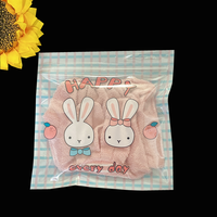 Dernier dessin animé ours Mini Cookie Ziplock sac Transparent PET CPP OPP petit emballage en plastique pour bonbons Biscuit pour chaussettes