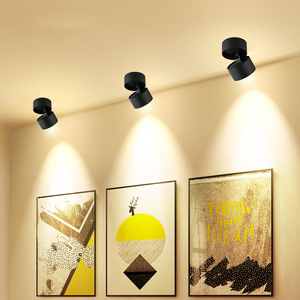 Luz descendente <span class=keywords><strong>LED</strong></span> giratoria de 360 grados COB más vendida 12W 10W <span class=keywords><strong>Downlight</strong></span> montado en superficie de aluminio <span class=keywords><strong>para</strong></span> interiores - Product Image 3