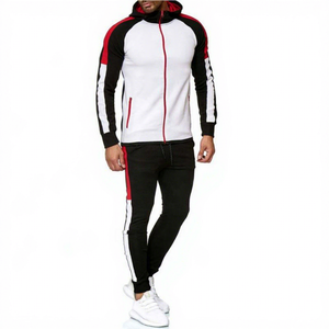 Survêtements à capuche pour hommes, coupe classique, personnalisables avec logo, écologiques, de haute qualité, à taille élastique, double panneau, pour le jogging, décontractés, couleur unie - Product Image 1