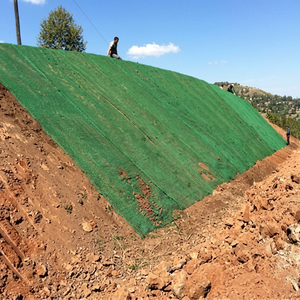 Réseau de végétation en géotextile solide pour l'aménagement de pentes et la lutte contre la désherbation - Product Image 4