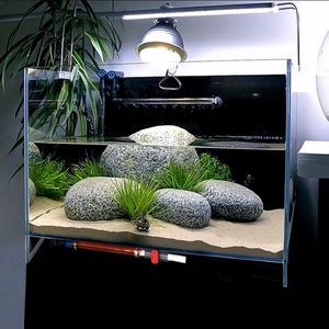 <span class=keywords><strong>Custom</strong></span> Transparant Milieuvriendelijk Reptiel Terrarium Aquarium Aquarium Met Zonnebakken Platform Hoge Heldere Glazen Schildpad Tank - Product Image 1