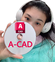 Activación en Línea de REVIT por Correo Electrónico por Un Año, Software de la Serie AUTODESK También Disponible, CAD 1 Año DVD