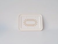 Boîte à lunch jetable en pulpe de canne à sucre biodégradable et respirante