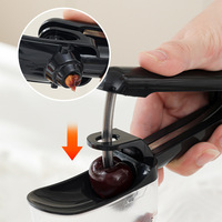 Fabrieksdirect handmatige plastic rode dadel- en hawthorn-ontpitter, grote kersenontpitter, makkelijk schoon te maken