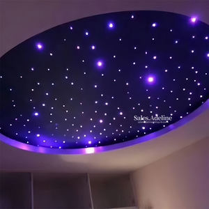 Fuente de Luz Inteligente Tuya WiFi de Fibra Óptica 5W 10W Luz Blanca con Rueda de Colores Giratoria para Iluminación de Techo con Efecto Estrella - Product Image 5